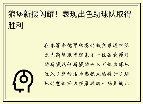 狼堡新援闪耀！表现出色助球队取得胜利