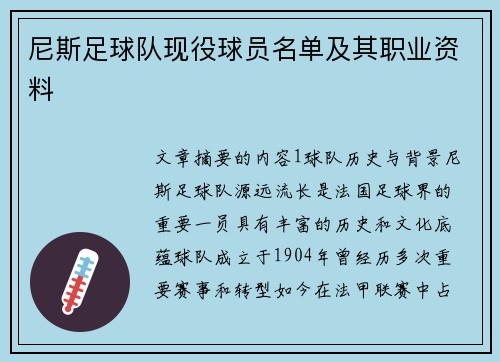 尼斯足球队现役球员名单及其职业资料